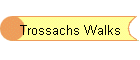 Trossachs Walks
