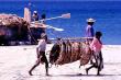 Fishermen, Sri Lanka - 4k thumbnail (19k full image)